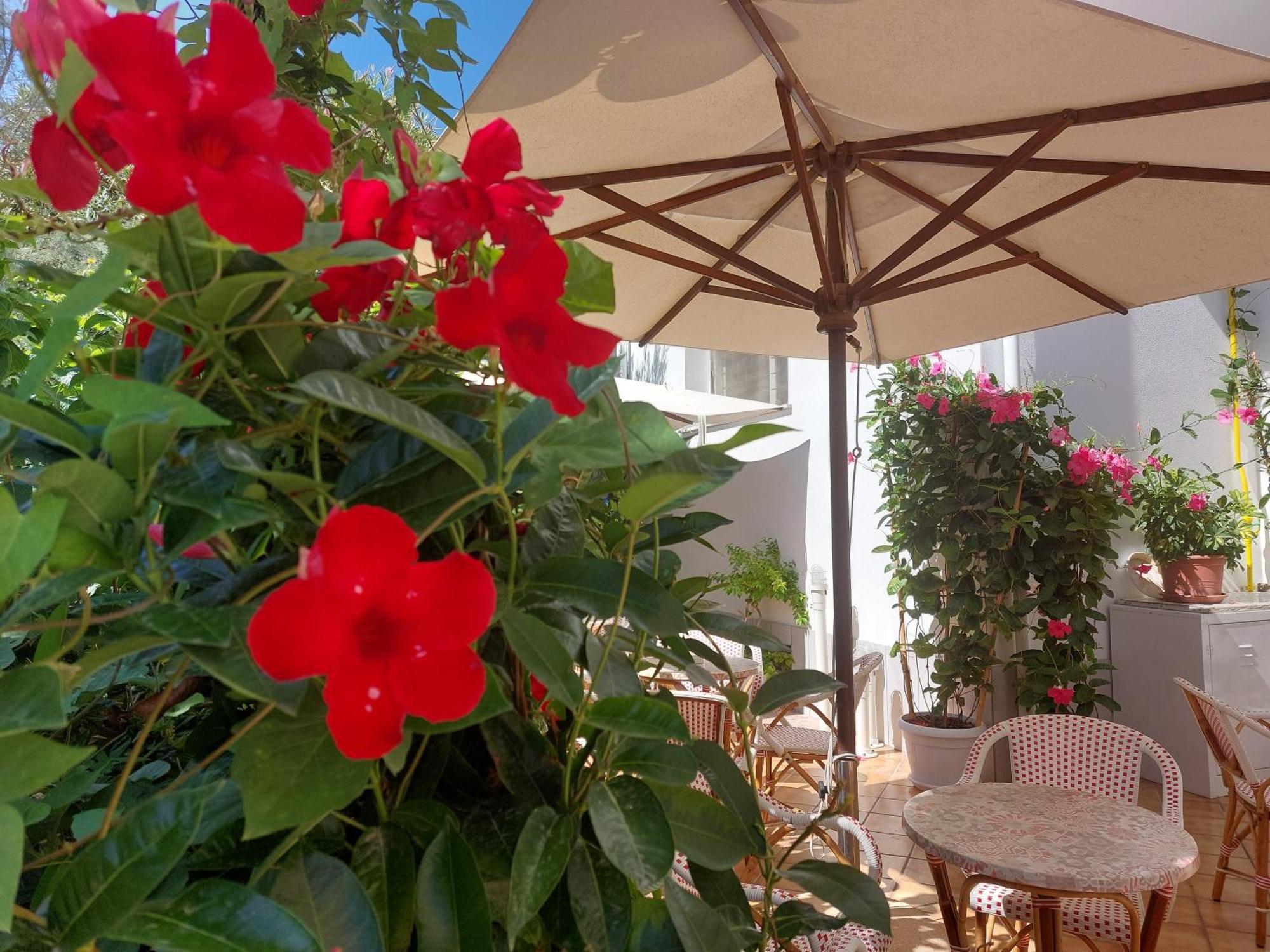 Hotel Driade Sul Mare Римини Екстериор снимка